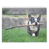 Oscar der Kalender Bostons Terrier 2013 (Titelbild)