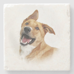 Oscar, der Labrador wollen, um zu sein, Steinuntersetzer