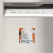 Oscar die beleibliche Katze Magnet (In Situ (Geschirrspüler))