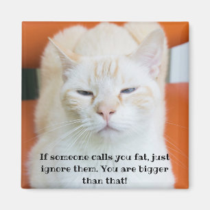 Oscar die beleibliche Katze Magnet
