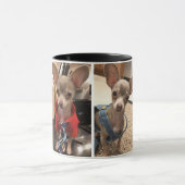 Oscar die blaue Chihuahuakaffee-Tasse Tasse (Zentrum)