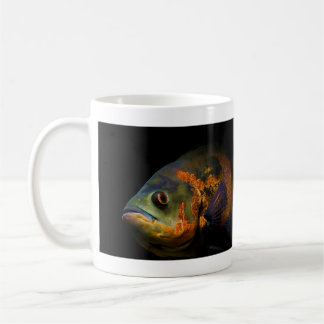 Oscar-Fische Astronotus Ocellatus Kaffeetasse
