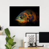 Oscar Fish Astronotus Ocellatus Poster (Heimbüro)