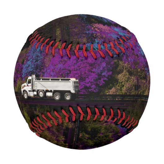 Oscar verlasse das Party Baseball (Vorderseite)