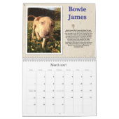 Oscars Rettungs-Hundekalender Kalender (Mär 2027)