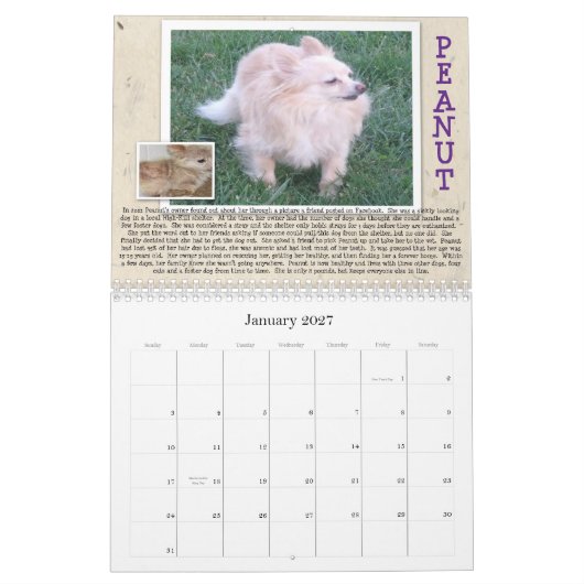 Oscars Rettungs-Hundekalender Kalender (Jan 2027)