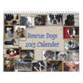 Oscars Rettungs-Hundekalender Kalender (Titelbild)