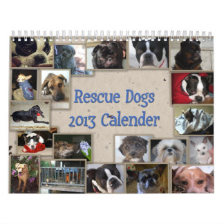 Oscars Rettungs-Hundekalender Kalender