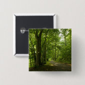 Osceloa Island Weir Dam Bristol Tennessee Button (Vorne & Hinten)