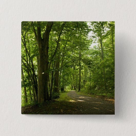 Osceloa Island Weir Dam Bristol Tennessee Button (Vorderseite)