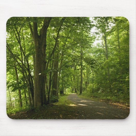 Osceloa Island Weir Dam Bristol Tennessee Mousepad (Vorne)