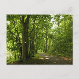 Osceloa Island Weir Dam Bristol Tennessee Postkarte