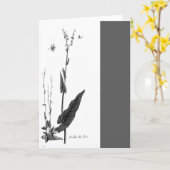 Oseille des Prés Karte (Gelbe Blume)