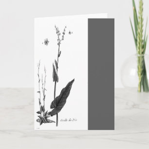 Oseille des Prés Karte