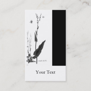 Oseille DES Prés Visitenkarte