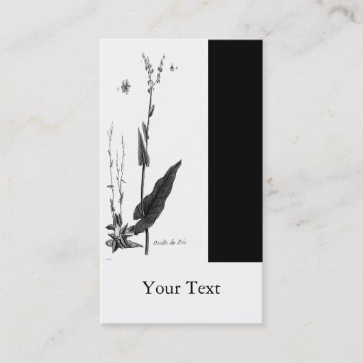 Oseille DES Prés Visitenkarte (Vorderseite)