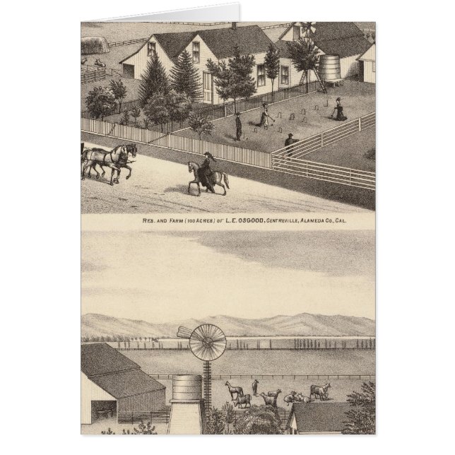 Osgood, Cameron Residenzen, Farmen (Vorne)