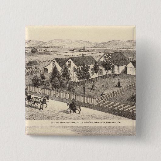 Osgood, Cameron-Wohnungen, Farmen Button (Vorderseite)