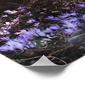 Osho Wisdom Quote Erleuchtung Poster (Ecke)