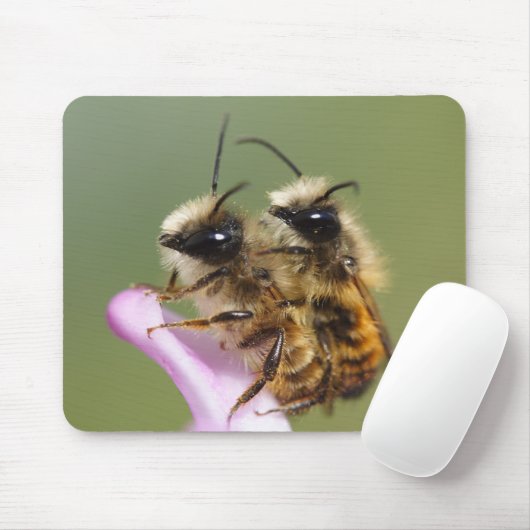 Osmia bicornis mousepad (Mit Mouse)