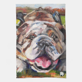 OSNEB Rettungs-Küche/Bar-Tuch Geschirrtuch