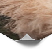 Oso de peluche poster (Ecke)