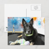 Oso - German Shepherd -4 Postkarte (Vorne/Hinten)