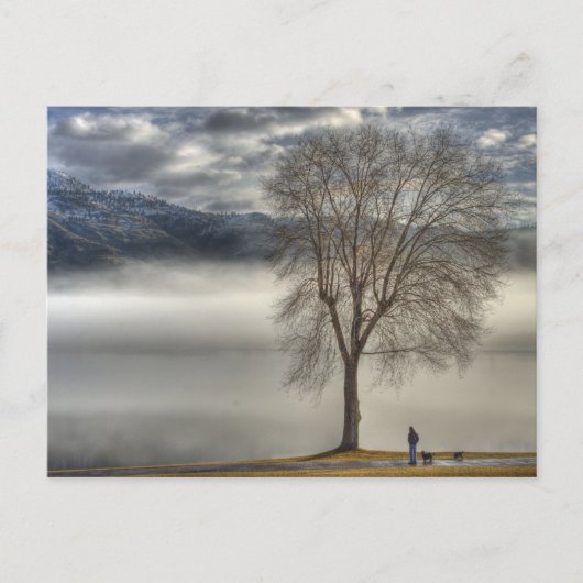 Osojus Walking the Dog Postkarte (Vorderseite)