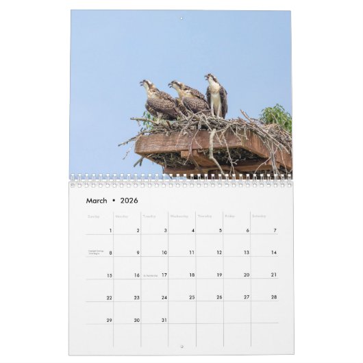 Osprey 2026 kalender (Mär 2026)