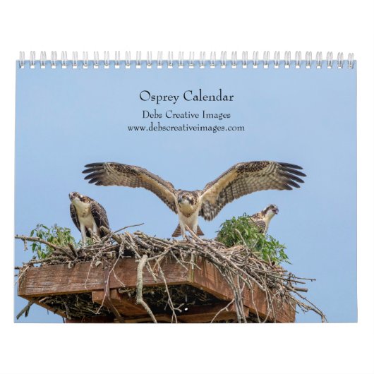 Osprey 2026 kalender (Titelbild)