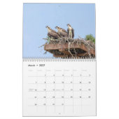 Osprey 2026 kalender (Mär 2027)