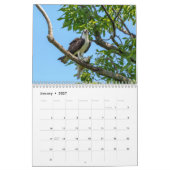 Osprey 2026 kalender (Jan 2027)