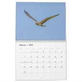 Osprey 2026 kalender (Feb 2027)