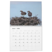 Osprey 2026 kalender (Mär 2026)