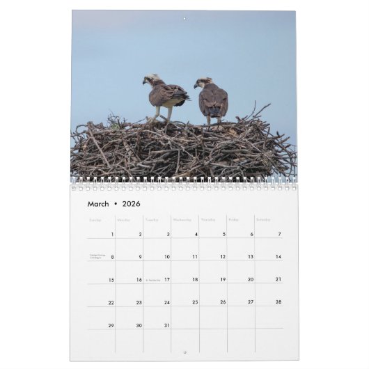 Osprey 2026 kalender (Mär 2026)