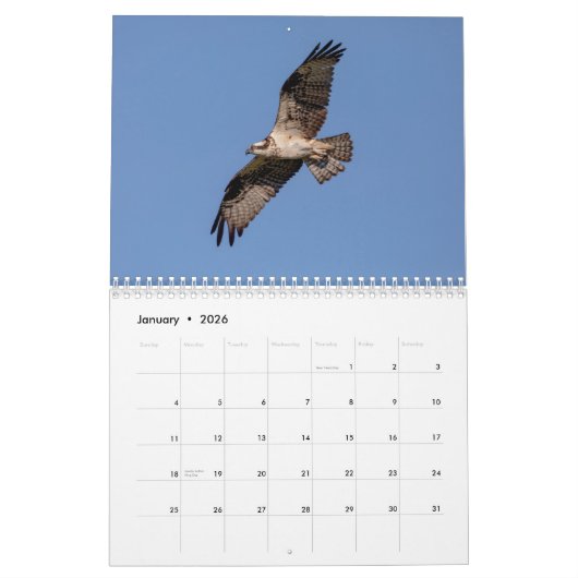Osprey 2026 kalender (Jan 2026)