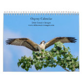 Osprey 2026 kalender (Titelbild)