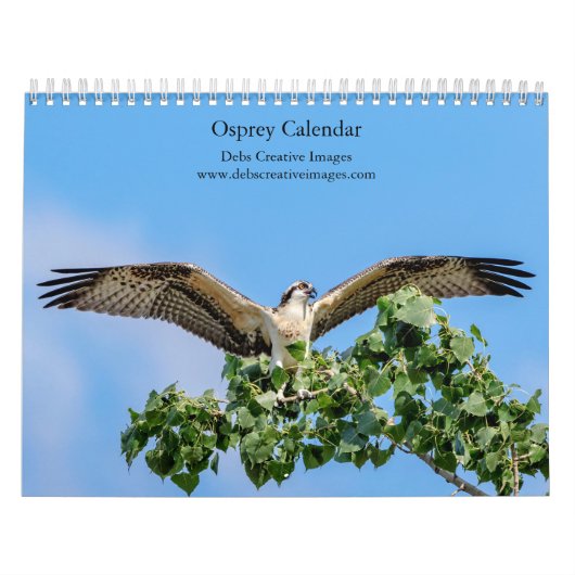 Osprey 2026 kalender (Titelbild)