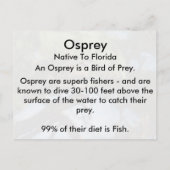 Osprey (4964) Postcard lernen Postkarte (Rückseite)