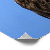 Osprey (4964) Poster (Ecke)