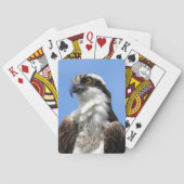 Osprey (4964) Spielkarten (Rückseite)