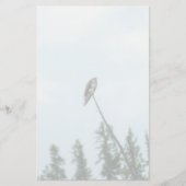 Osprey 9028 briefpapier (Vorderseite)