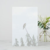 Osprey 9028 briefpapier (Stehend Vorderseite)