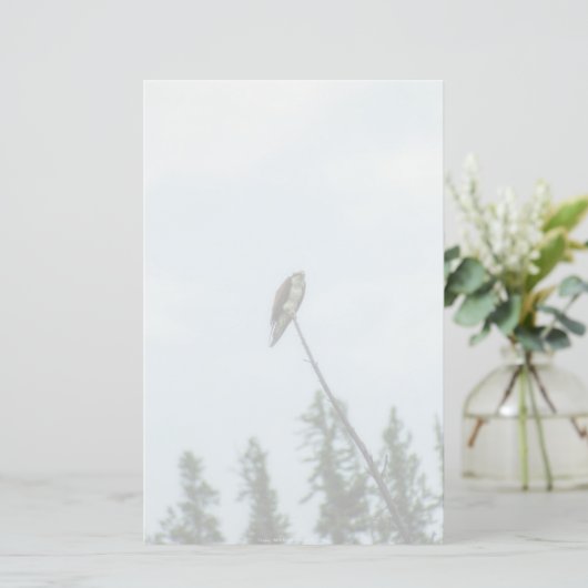 Osprey 9028 briefpapier (Stehend Vorderseite)