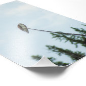 Osprey 9028 fotodruck (Ecke)