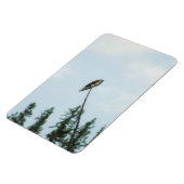 Osprey 9028 magnet (Linke Seite)