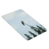 Osprey 9028 magnet (Rechte Seite)