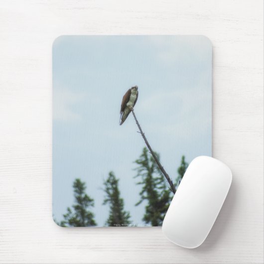 Osprey 9028 mousepad (Mit Mouse)