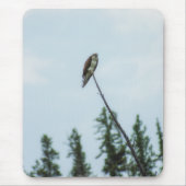 Osprey 9028 mousepad (Vorne)