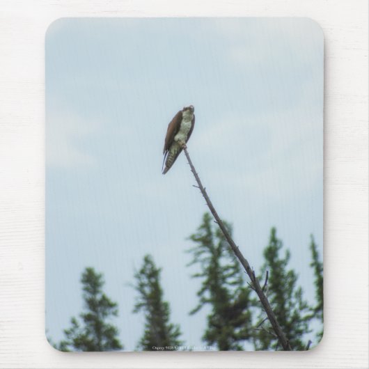 Osprey 9028 mousepad (Vorne)